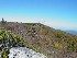 View from Outlook near Dolly Sods